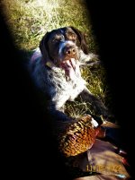 Tinker win 370 11-8-222 slanted crop.JPG