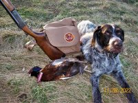 Tinker 11-8-22 pheasant bag 370 shotgun nice.JPG