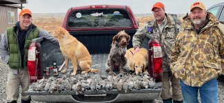 Quail November 22.jpg