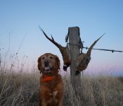 IOWA11.27.JPG IOWA11.27.JPG