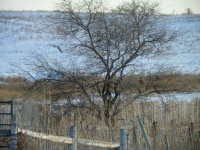 SD Trip Winter 2010 015.jpg