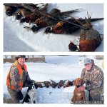 12285A52-240A-4AFF-A71A-4B21EE7DE70E.png 12285A52-240A-4AFF-A71A-4B21EE7DE70E.png