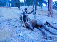 2017 Hell's Canyon Bull.jpg