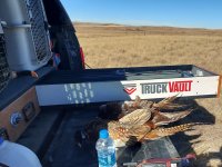 Truck Vault 3.jpg