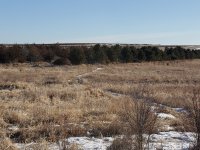 established belt no tower.jpg