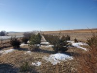 new belt looking south.jpg