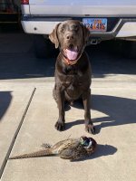 IMG_7660.jpg IMG_7660.jpg