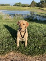 IMG_1510.jpeg IMG_1510.jpeg