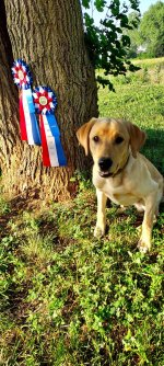 IMG_1864.jpeg IMG_1864.jpeg