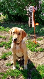 Resized_20230516_155947~2.jpeg Resized_20230516_155947~2.jpeg