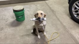 IMG_1910.jpeg IMG_1910.jpeg