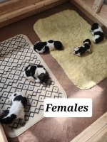 20230622_155904 (1).jpg