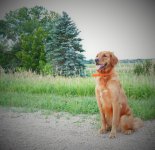 Roxy at the slough.jpg