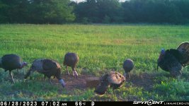 062823 - F4D - 6 Turkey.jpg