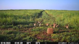 071623 - F2N - 13 ph.jpg