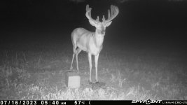 071623 - F4D - 10 pt buck.jpg