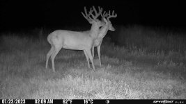 072323 - F30N - 2 Bucks.jpg