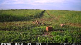 072623 - F2N - 8 ph.jpg