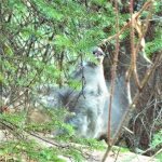 drummer.jpg drummer.jpg