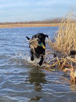 Hunt, 2022-12-28 (4).JPG