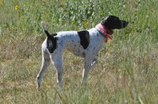 Image 9-4-23 at 5.19 PM.jpeg