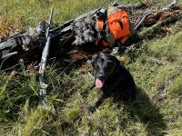 Grouse hunting WY 9-8-2023 (5).JPG