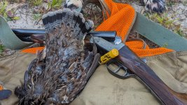 PXL_20230923_140837512.jpg PXL_20230923_140837512.jpg