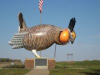 1872e890-bb0a-4e01-83d9-f5a40bf1f37c217dcc7f155166eac9_largest-prairie-chicken-rothsay-1.jpg