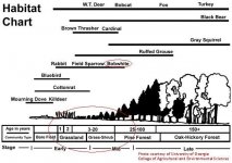 quail adaptive niche.JPG