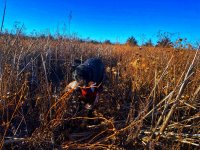 stella south dakota.jpg