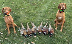 Screen Shot 2023-11-17 at 7.32.14 PM.png