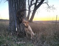 20231118_170517.jpeg 20231118_170517.jpeg