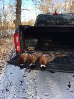 12-5-23 roosters.jpg