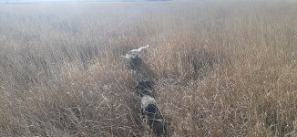 20231106_122524.jpg 20231106_122524.jpg