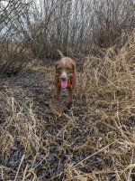 PXL_20231209_172454092.jpg PXL_20231209_172454092.jpg