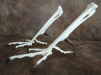 1702304839942.png 1702304839942.png