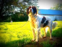 very goodmick and shots of late summer 2014 a006.jpg