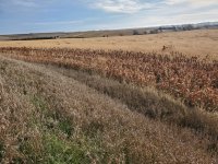 20231105_084849.jpg 20231105_084849.jpg