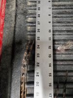 1.1.24 tail feathers.jpg