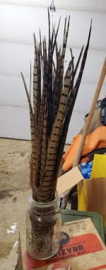 2023-2024 tailfeathers.jpg 2023-2024 tailfeathers.jpg