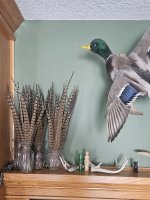 20240112_135010 (1).jpg 20240112_135010 (1).jpg