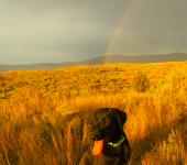 Screenshot 2023-10-26 174229.png Screenshot 2023-10-26 174229.png