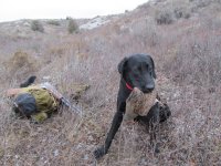 IMG_0003.JPG IMG_0003.JPG