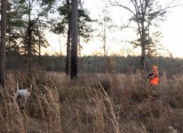 IMG_20231206_171758393~2.jpg IMG_20231206_171758393~2.jpg