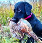 Screenshot 2023-10-15 043921.png