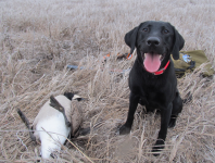 Screenshot 2023-12-27 160214.png Screenshot 2023-12-27 160214.png