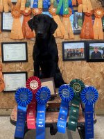 Doc with ribbons.jpg