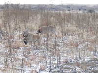 P2080598.JPG P2080598.JPG