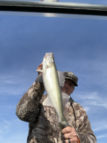 Screen Shot 2024-02-26 at 7.33.17 PM.png