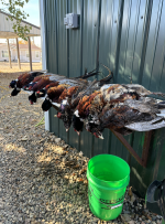 Screen Shot 2024-02-26 at 7.34.09 PM.png